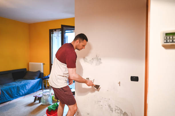 Best Best Mold Removal Companies  in Oak Leaf, TX