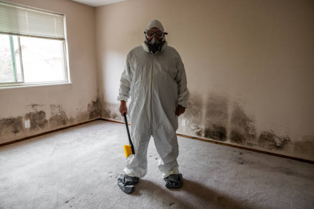 Home Mold Removal in Oak Leaf, TX