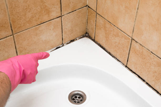 Best Professional Mold Removal  in Oak Leaf, TX